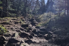 PXL_20210329_095254373