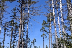 PXL_20210329_114932459