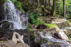 IMG_20200622_110925