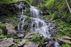 IMG_20200622_111359