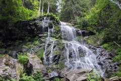 IMG_20200622_111559