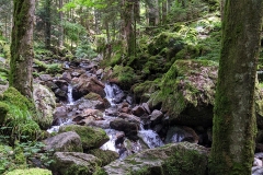 IMG_20200622_123419
