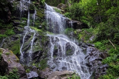 IMG_20200622_183115_783