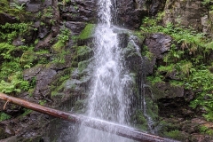 MVIMG_20200622_110338