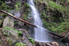 MVIMG_20200622_110823