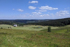 IMG_20200623_143638