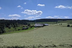 IMG_20200623_144810