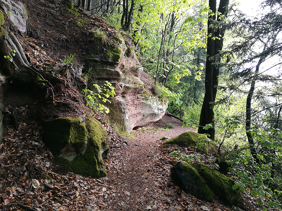 Rodalber Felsenwanderweg