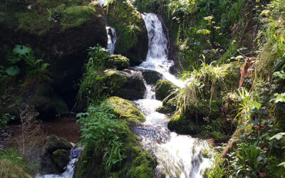 Gertelbach Wasserfälle über Schwanenwasen
