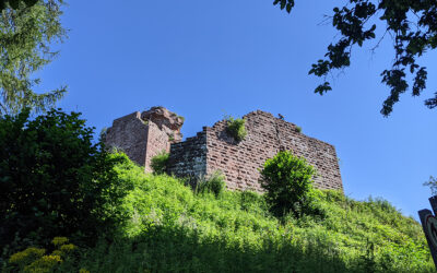 5-Burgen Raubzug in der Südpfalz…