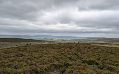 Auf einsamen Pfaden: Der Pennine Way (North)