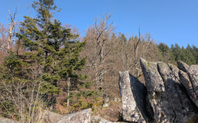 Frühlingstour in Gernsbach