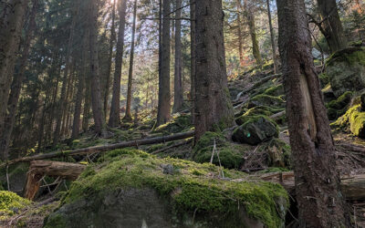 Kleines Abenteuer auf dem Abenteuer.Track