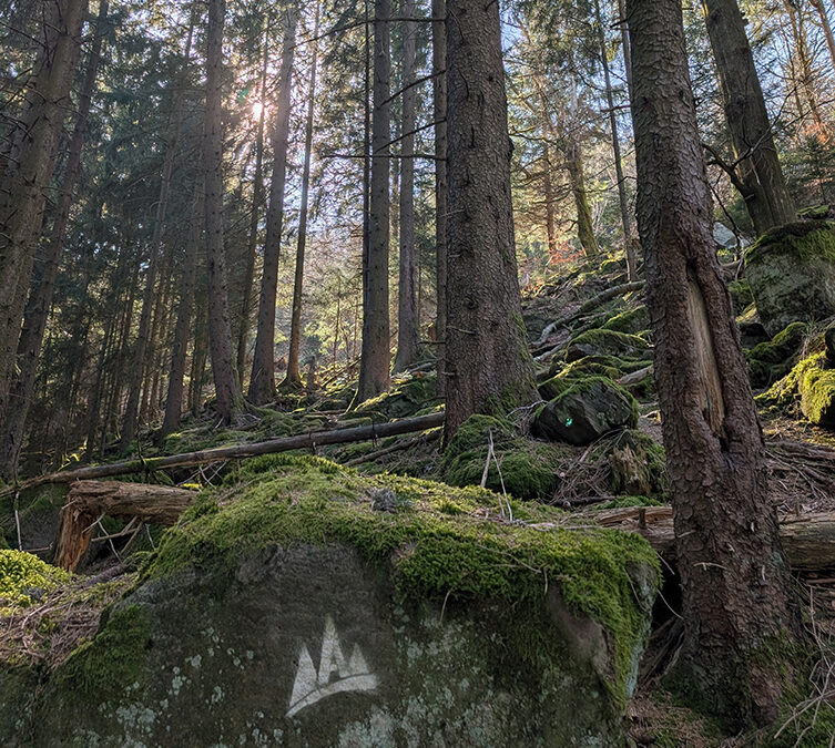 Kleines Abenteuer auf dem Abenteuer.Track